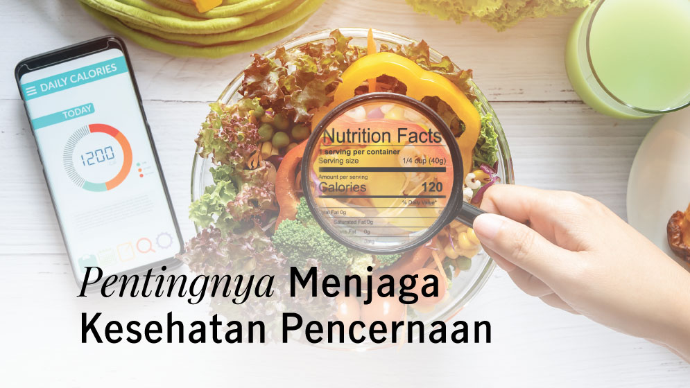 makanan penuh nutrisi