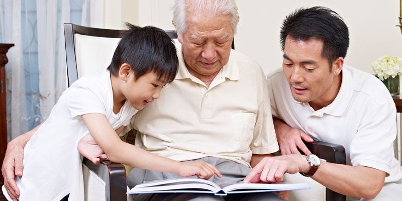 MiTreasure Optimax Protection